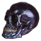  Kleiner Schillernder Totenkopf (pro Stück)