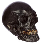  Kleiner Schillernder Totenkopf (pro Stück)
