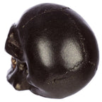  Kleiner Schillernder Totenkopf (pro Stück)