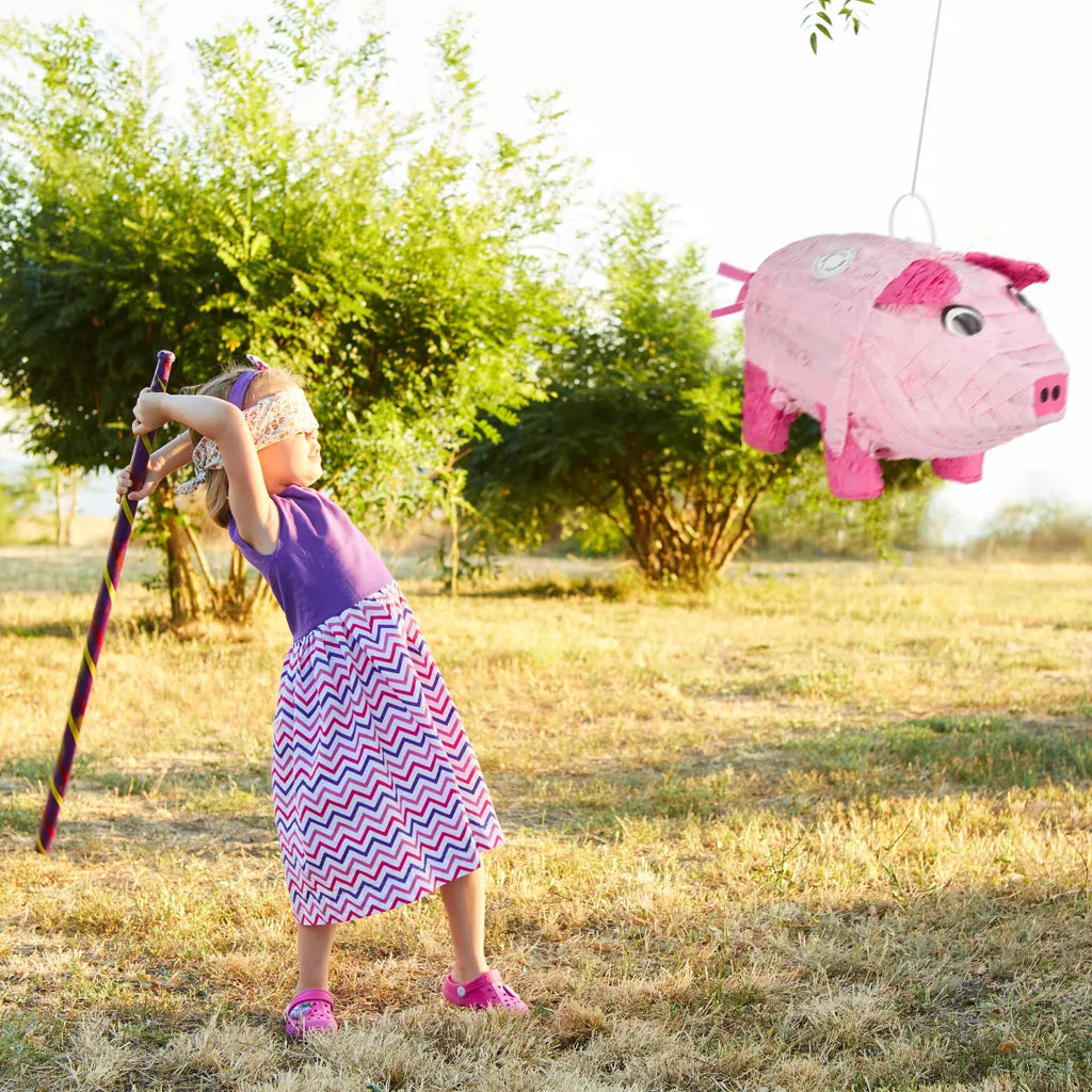  Relaxdays 2 X Pinata Schwein