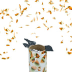  Relaxdays 5 X Party Popper 40 Cm Gold