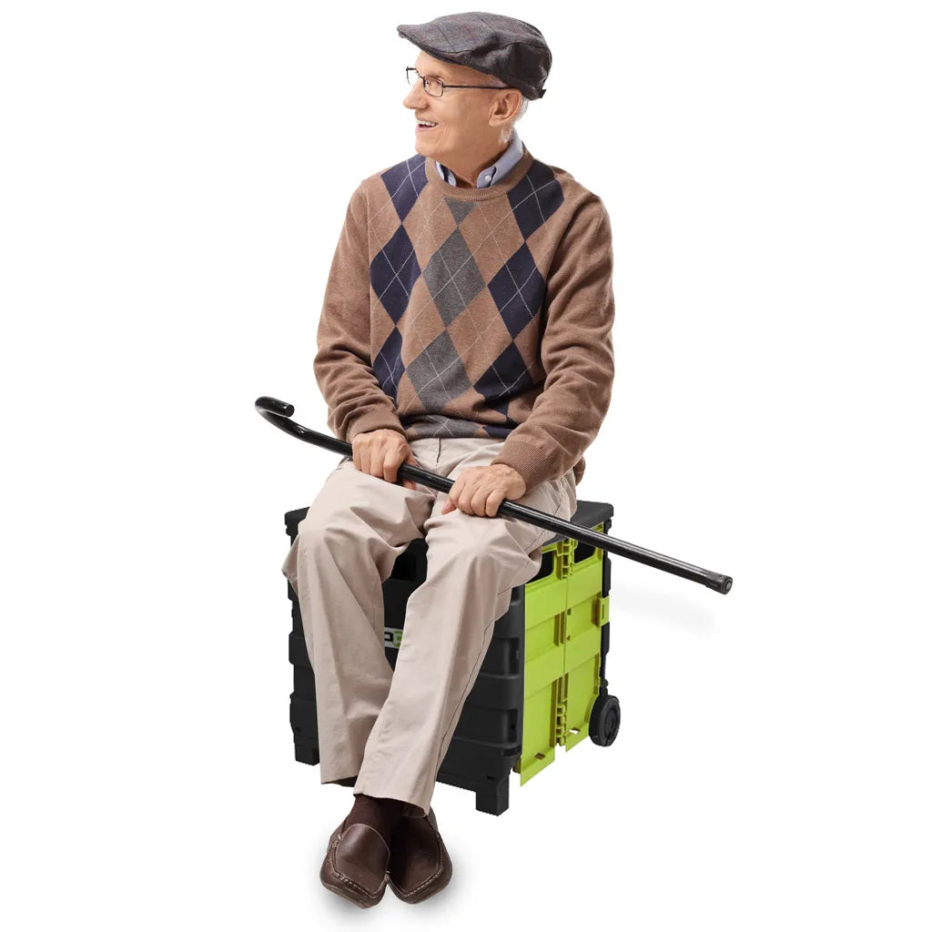  UPP Shopping Cart + Deckel Einkaufswagen Einkaufstrolley Tragekorb Einkaufskorb