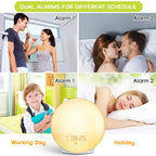  Lichtwecker LED Wake Up Light, Wecker Mit Sonnenaufgangssimulation, Tageslichtwecker FM Radio Wecker Mit Licht 7 Farben, 7 Wecktöne Wecker Kinder Alarm Clock Digital Uhr Nachtlicht Nachttischlampe [Energieklasse A++]