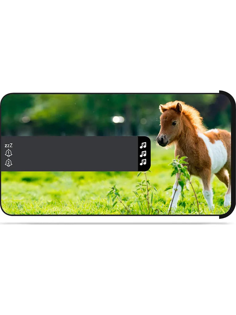  Bigben Multimedia Kids Wecker R16 Horses Wecker Radio&Wecker