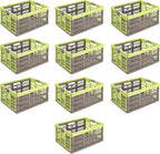  Keeeper Klappbox Ben Aufbewahrungsbox Kunststoff Soft-Touch Griffen X10