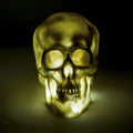  Deko Skull Mit LED-Licht