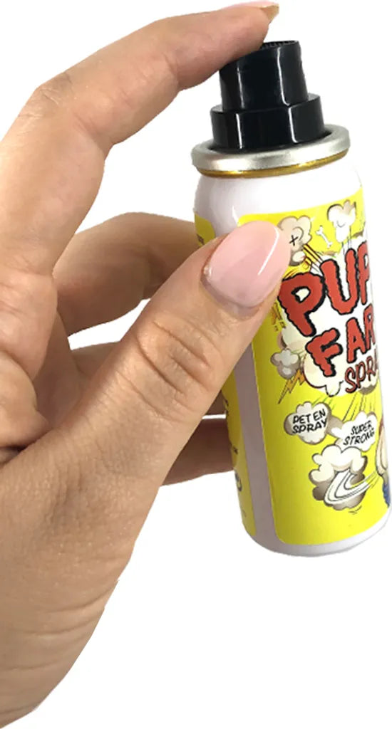  Scherzartikel Pupsspray